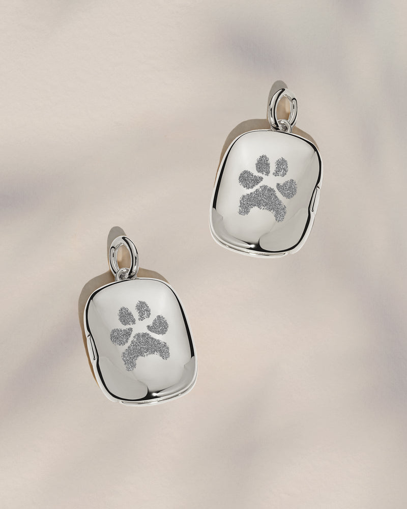 The Double Sided Paw Print Rectangle Locket Pendant